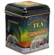 Load image into Gallery viewer, Northern Lights Pyramid Teabag Tin
